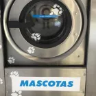 La imagen 1 de la Empresa A&C LAUNDRY Servicios Profesionales y de Negocios en Móstoles M