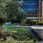 La imagen 26 de la Empresa AC HOTEL BY MARRIOTT ATOCHA Transportes y Turismo en Madrid M