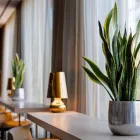 La imagen 18 de la Empresa AC HOTEL BY MARRIOTT MALAGA PALACIO Transportes y Turismo en Málaga MA
