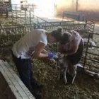 La imagen 2 de la Empresa AGROBIONA JOSÉ MANUEL MOYA Suministro de Alimentos para Animales en Almodóvar del Campo CR