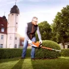 La imagen 3 de la Empresa ALBINI MAQUINARIA DE JARDINERÍA Servicios Profesionales y de Negocios en Madrid M