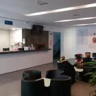 La imagen 2 de la Empresa ASESORÍA GENEALIA Servicios Profesionales y de Negocios en Pineda de Mar B