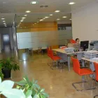 La imagen 4 de la Empresa ASESS CONSULTORÍA, S.L. Gestión Empresarial en Rute CO