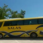 La imagen 4 de la Empresa AUTOCARES SALAS Viajes en Madrid M