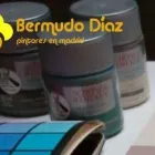 La imagen 2 de la Empresa BD PINTORES Servicios Profesionales y de Negocios en Móstoles M