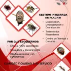 La imagen 1 de la Empresa BIOCIDAS CONTROL DE PLAGAS Servicios Profesionales y de Negocios en Madrid M