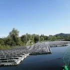 La imagen 1 de la Empresa BOSCH FLOATING SOLAR PV SYSTEM & SOLUTION CO., LIMITADO Centrales De Energia Solar Fotovoltaica en Madrid M