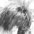 La imagen 8 de la Empresa CARRERA PELUQUERO Productos y Servicios de Cuidado Personal en Barcelona B