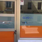 La imagen 2 de la Empresa CENTRO DE DERMATOLOGIA VETERINARIA ADERVET Veterinarios en Madrid M