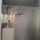 La imagen 3 de la Empresa CENTRO DE DERMATOLOGIA VETERINARIA ADERVET Veterinarios en Madrid M