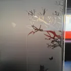 La imagen 4 de la Empresa CENTRO DE DERMATOLOGIA VETERINARIA ADERVET Veterinarios en Madrid M