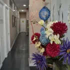 La imagen 9 de la Empresa CENTRO ESPECIALIZADO DE PILATES Pilates en Madrid M