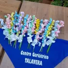 La imagen 2 de la Empresa CENTRO GERIATRICO TALAVERA Residencias y Servicios para Mayores en Talavera de la Reina TO