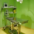 La imagen 4 de la Empresa CENTRO MÉDICO VETERINARIO PÍO 109 Veterinarios y Farmacias Veterinarias en Talavera de la Reina TO