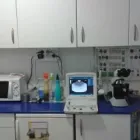 La imagen 1 de la Empresa CENTRO VETERINARIO NUEVO VERSALLES Veterinarios y Farmacias Veterinarias en Fuenlabrada M