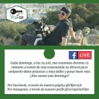 La imagen 6 de la Empresa CERRAJERÍA 24 HORAS VILFER Servicios Profesionales y de Negocios en Barcelona B