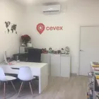 La imagen 4 de la Empresa CEVEX Idiomas En El Extranjero en Madrid M