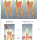 La imagen 4 de la Empresa CLINICA DENTAL CLI-DEN Salud y Medicina en Madrid M