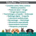 La imagen 1 de la Empresa CLÍNICA VETERINARIA ANTOVET Veterinarios y Farmacias Veterinarias en Badajoz BA