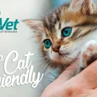 La imagen 3 de la Empresa CLÍNICA VETERINARIA ANTOVET Veterinarios y Farmacias Veterinarias en Badajoz BA