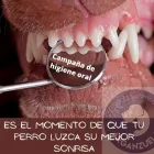 La imagen 1 de la Empresa CLINICA VETERINARIA ARGANZUELA Veterinarios y Farmacias Veterinarias en Madrid M