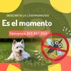 La imagen 2 de la Empresa CLINICA VETERINARIA ARGANZUELA Veterinarios y Farmacias Veterinarias en Madrid M