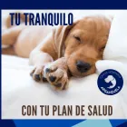 La imagen 4 de la Empresa CLINICA VETERINARIA ARGANZUELA Veterinarios y Farmacias Veterinarias en Madrid M