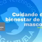 La imagen 5 de la Empresa CLINICA VETERINARIA ARGANZUELA Veterinarios y Farmacias Veterinarias en Madrid M