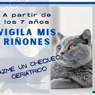 La imagen 6 de la Empresa CLINICA VETERINARIA ARGANZUELA Veterinarios y Farmacias Veterinarias en Madrid M