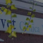 La imagen 4 de la Empresa CLÍNICA VETERINARIA CABRERIZOS - BEATRIZ PIZARRO Veterinarios y Farmacias Veterinarias en Cabrerizos SA