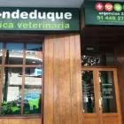 La imagen 2 de la Empresa CLÍNICA VETERINARIA CONDE DUQUE Veterinarios y Farmacias Veterinarias en Madrid M