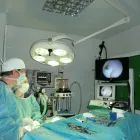 La imagen 2 de la Empresa CLÍNICA VETERINARIA ROMAREDA Veterinarios y Farmacias Veterinarias en Zaragoza AR