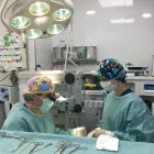 La imagen 5 de la Empresa CLÍNICA VETERINARIA ROMAREDA Veterinarios y Farmacias Veterinarias en Zaragoza AR