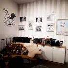 La imagen 8 de la Empresa COMERCIAL LOPEZ NEVADO Venta Por Internet: Tiendas en Madrid M