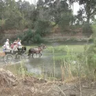 La imagen 8 de la Empresa CORTIJO DEL ARTE Salones De Boda Y Celebraciones en Pizarra MA