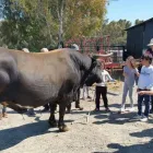 La imagen 2 de la Empresa CORTIJO DEL ARTE Salones De Boda Y Celebraciones en Pizarra MA