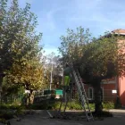 La imagen 6 de la Empresa CSIMA Servicios y Equipos de Limpieza en Bilbao BI