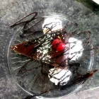 La imagen 3 de la Empresa DA KIKO – PASTA E PIZZA Pizzerias en Madrid M