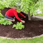La imagen 1 de la Empresa DE LEÓN LIMPIEZAS Y JARDINES Servicios Profesionales y de Negocios en Zaragoza AR