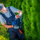 La imagen 5 de la Empresa DE LEÓN LIMPIEZAS Y JARDINES Servicios Profesionales y de Negocios en Zaragoza AR