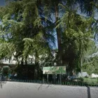 La imagen 3 de la Empresa DENTAL VARAS Residencias y Servicios para Mayores en Pozuelo de Alarcón M