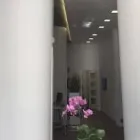 La imagen 1 de la Empresa DENTALBOX CLÍNICA DENTAL SAN SEBASTIAN DR GUSTAVO PÉREZ LIÉVANO Salud y Medicina en Donostia SS