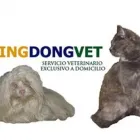 La imagen 2 de la Empresa DINGDONGVET VETERINARIOS A DOMICILIO EN MADRID Veterinarios y Farmacias Veterinarias en Madrid M