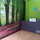 La imagen 6 de la Empresa DISCONSU GIJÓN Toner en Gijón O