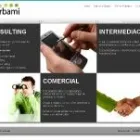 La imagen 3 de la Empresa DISEÑO WEB NEGOCIA INTERNET Servicios Profesionales y de Negocios en Madrid M