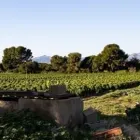 La imagen 1 de la Empresa DISFRUTISMO S L Mayoristas en Barcelona B