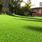 La imagen 3 de la Empresa ECOGRASS Servicios Profesionales y de Negocios en Adeje TF