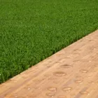 La imagen 4 de la Empresa ECOGRASS Servicios Profesionales y de Negocios en Adeje TF