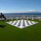 La imagen 5 de la Empresa ECOGRASS Servicios Profesionales y de Negocios en Adeje TF