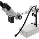 La imagen 13 de la Empresa EL MUNDO DE LAS LUPAS - LENSFORVISION Servicios Profesionales y de Negocios en Sevilla SE